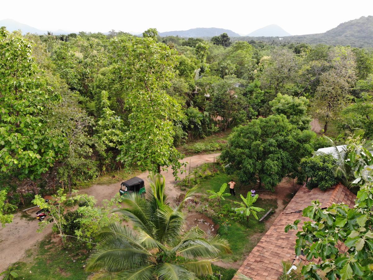 Araliya Self Cooking Resort Dambulla Exteriér fotografie