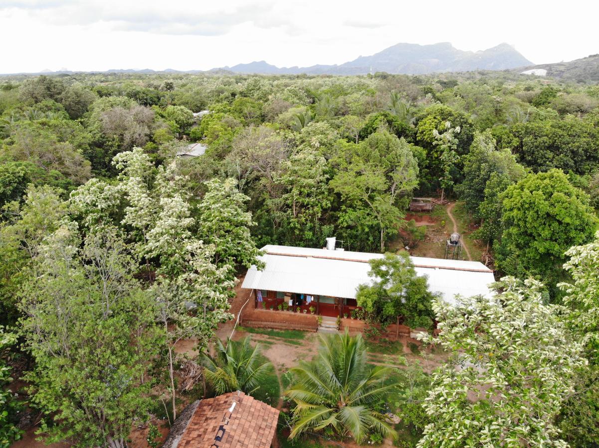 Araliya Self Cooking Resort Dambulla Exteriér fotografie