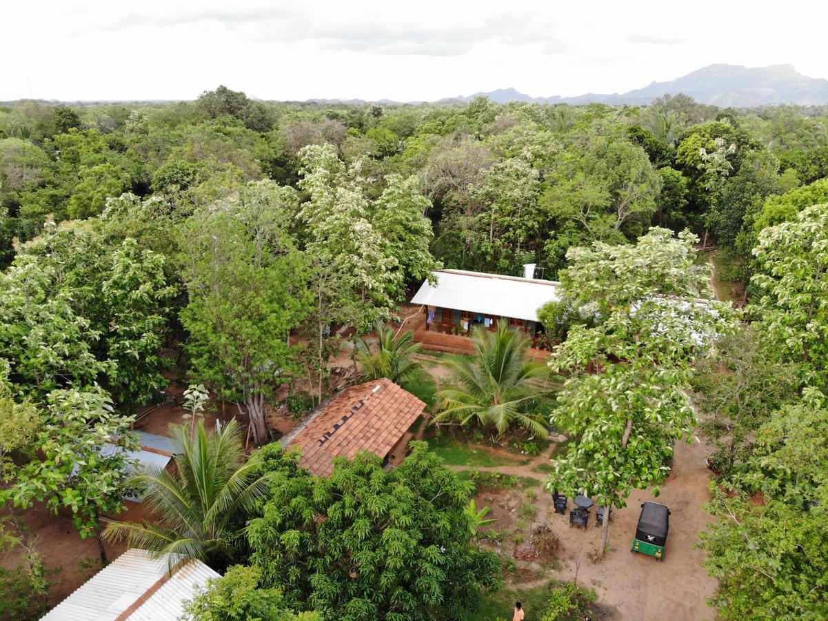 Araliya Self Cooking Resort Dambulla Exteriér fotografie