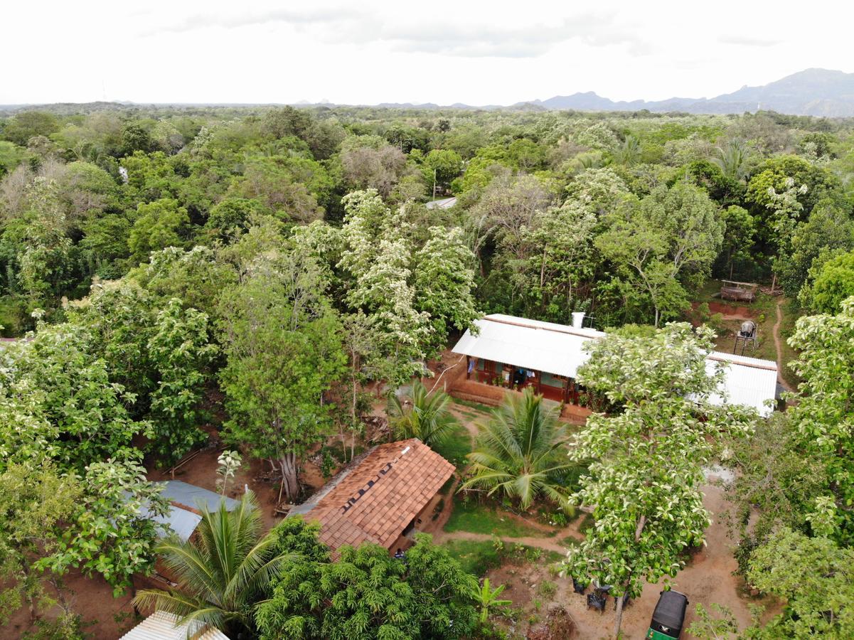 Araliya Self Cooking Resort Dambulla Exteriér fotografie