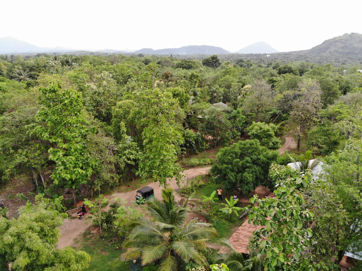 Araliya Self Cooking Resort Dambulla Exteriér fotografie